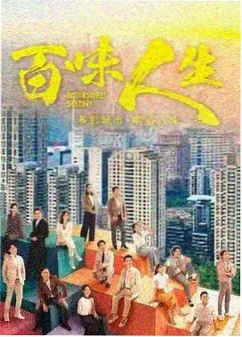pp影院热播悬疑剧雾港追光者剧照